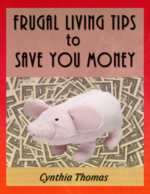 Frugal Living Tips to Save You Money
