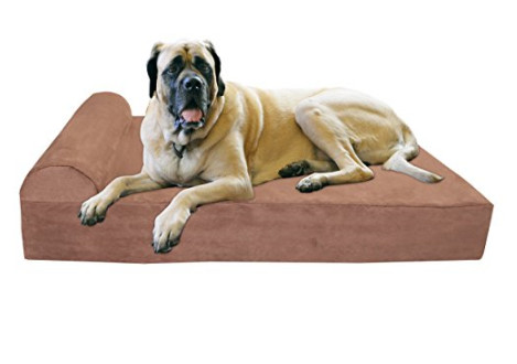 Orthopedic Dog Beds for Your Fur Baby