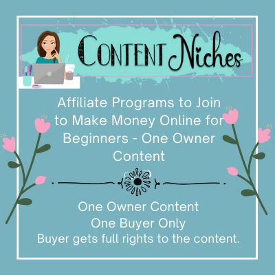 Affiliate Programs to Join to Make Money Online for Beginners – One Owner Content